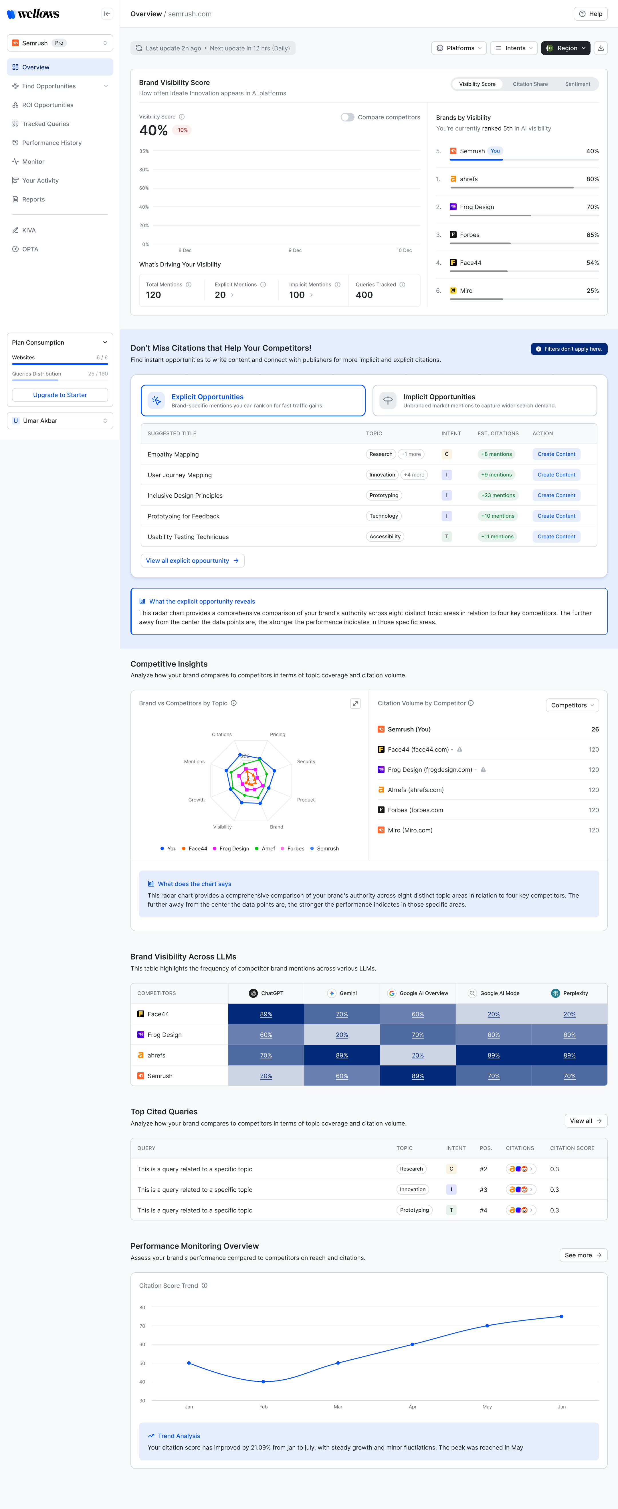 Wellows Overview dashboard